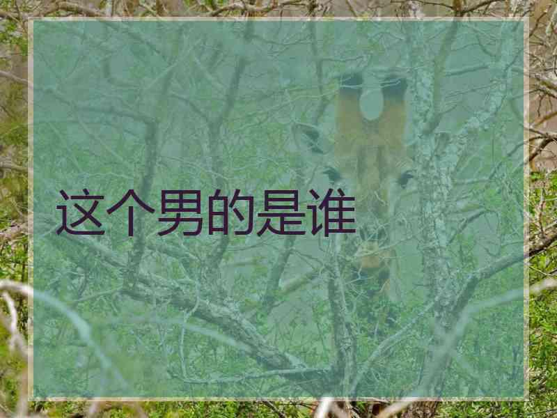 这个男的是谁