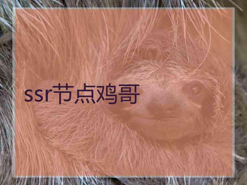 ssr节点鸡哥