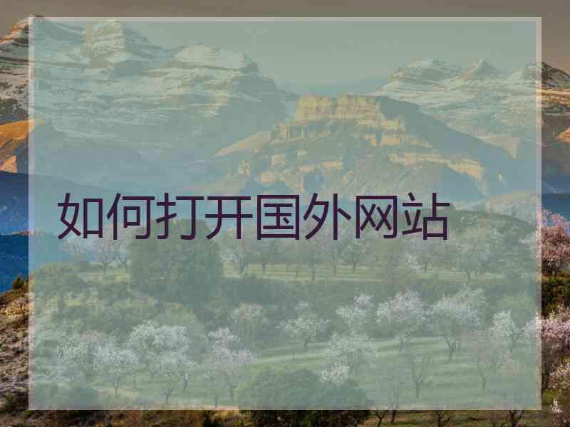 如何打开国外网站