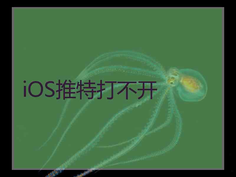 iOS推特打不开