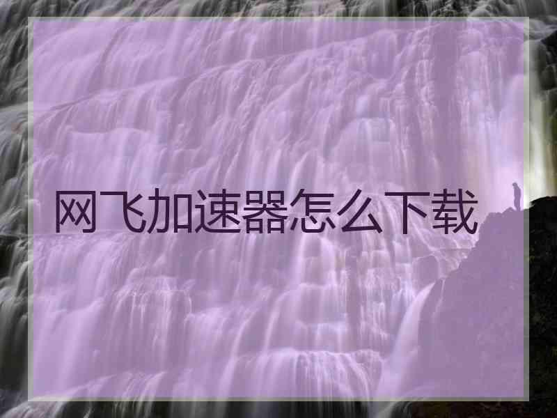 网飞加速器怎么下载