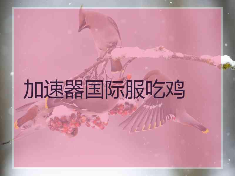加速器国际服吃鸡