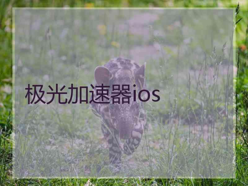 极光加速器ios
