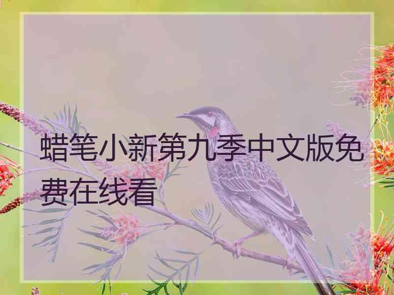 蜡笔小新第九季中文版免费在线看