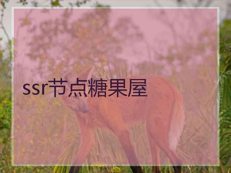 ssr节点糖果屋