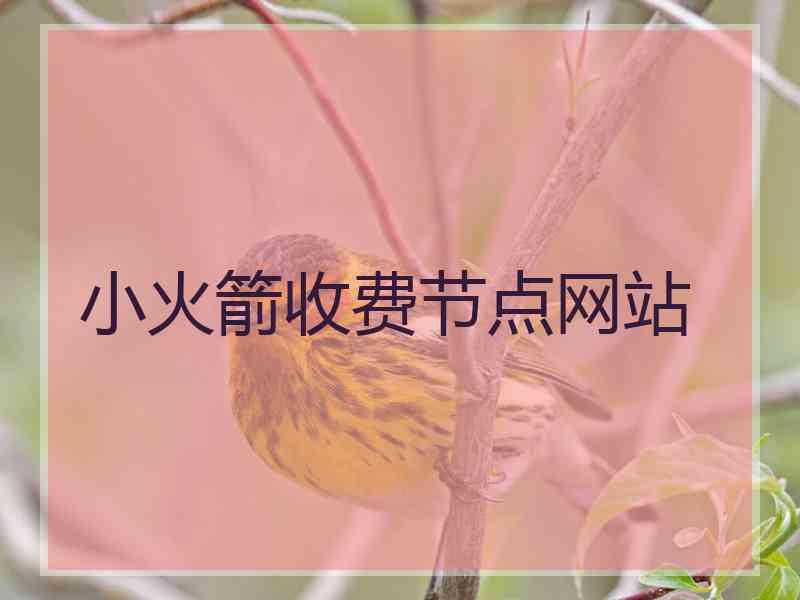 小火箭收费节点网站