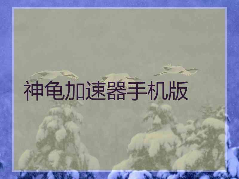 神龟加速器手机版