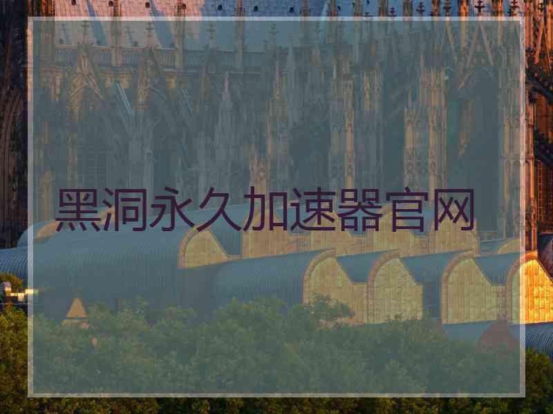 黑洞永久加速器官网