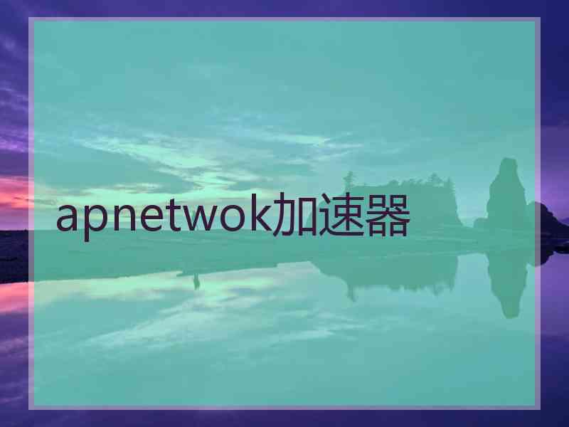 apnetwok加速器