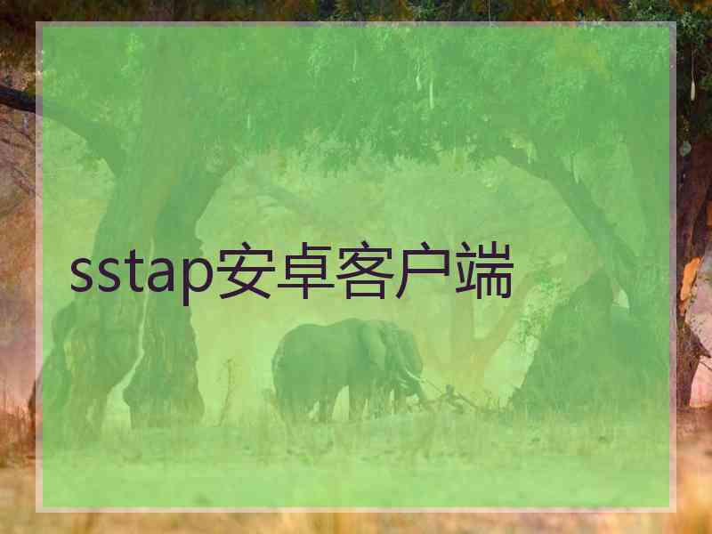 sstap安卓客户端