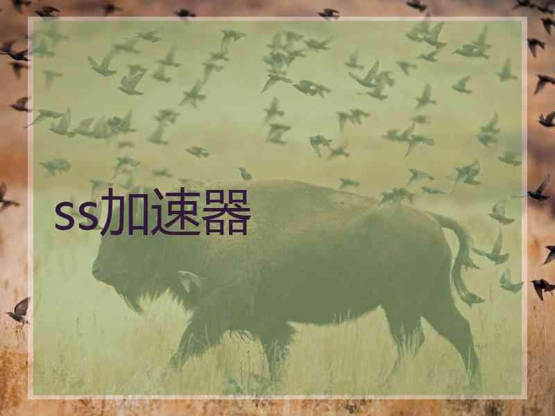 ss加速器