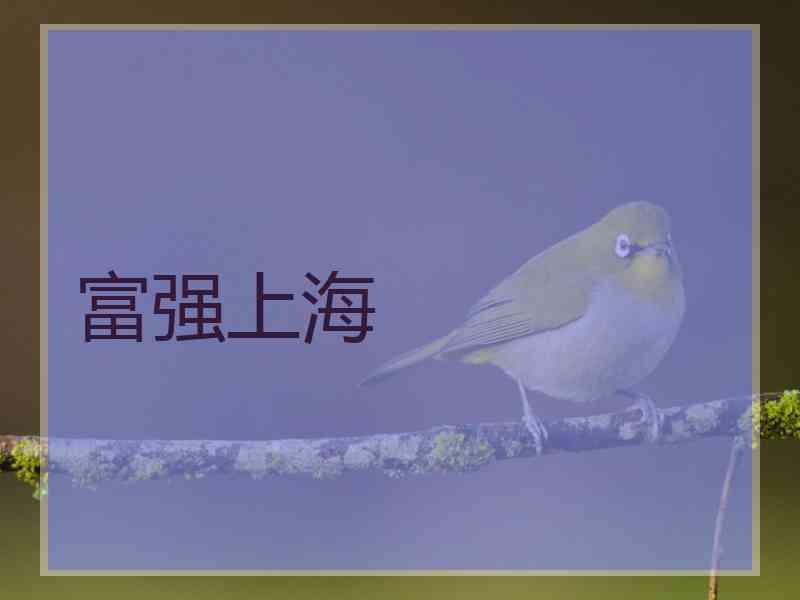 富强上海