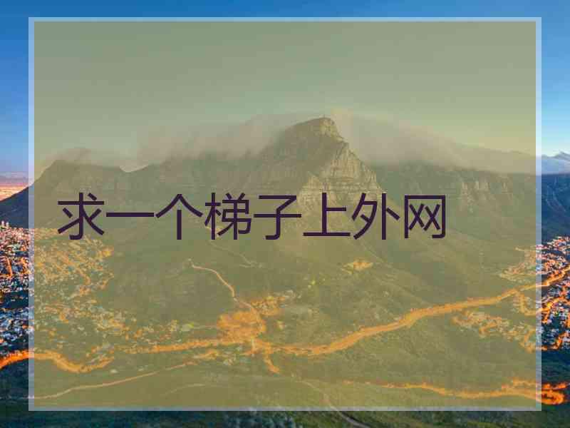 求一个梯子上外网