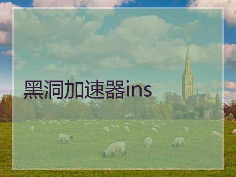 黑洞加速器ins