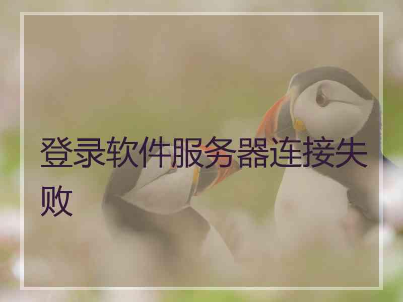 登录软件服务器连接失败