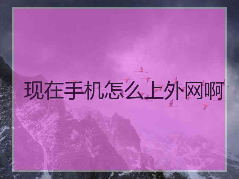 现在手机怎么上外网啊