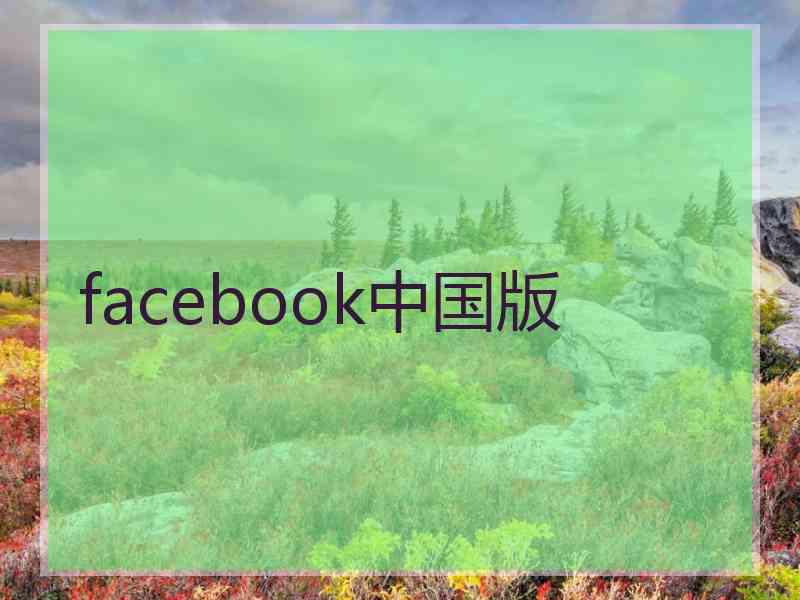 facebook中国版