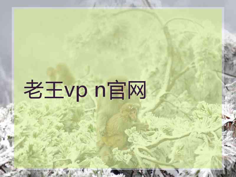 老王vp n官网