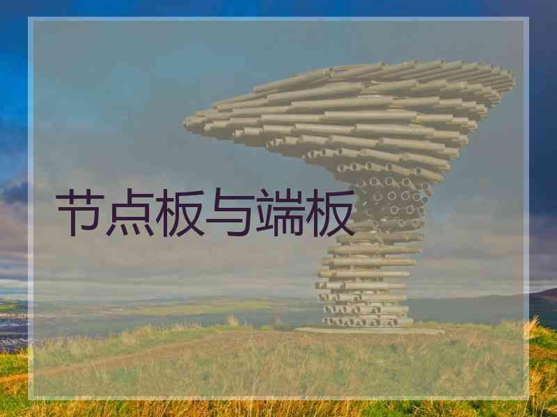 节点板与端板