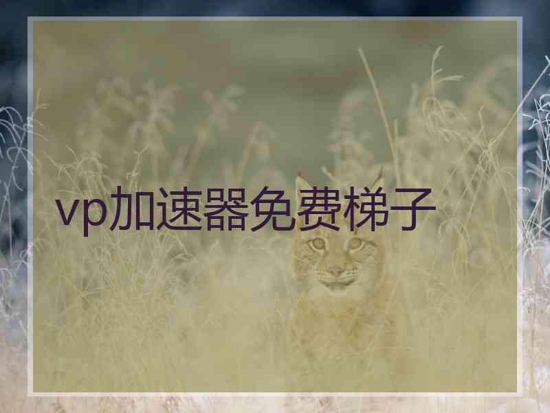 vp加速器免费梯子