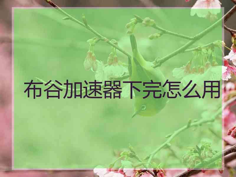 布谷加速器下完怎么用