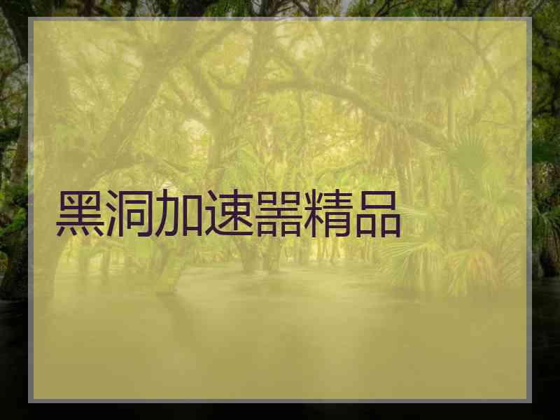 黑洞加速噐精品