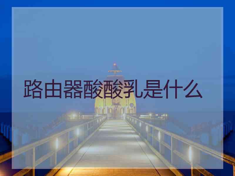 路由器酸酸乳是什么