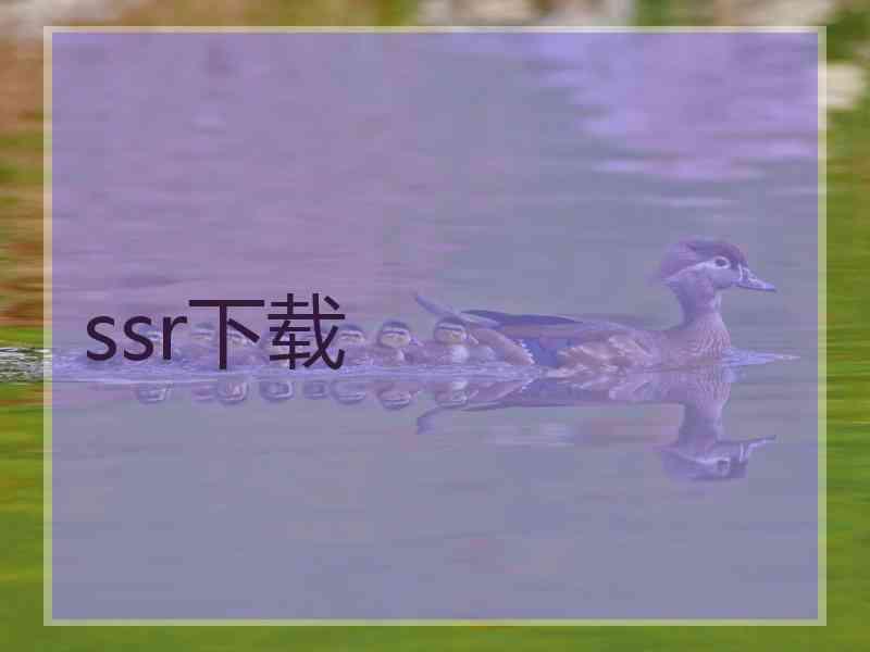 ssr下载