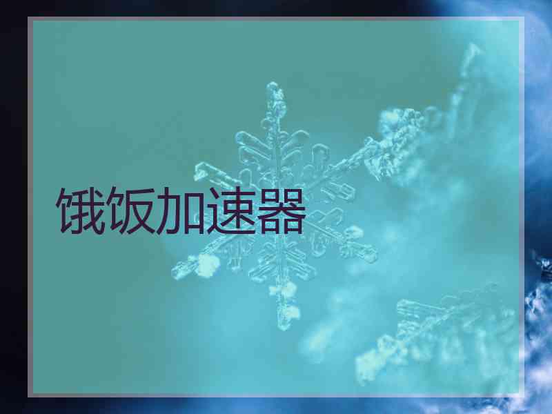 饿饭加速器