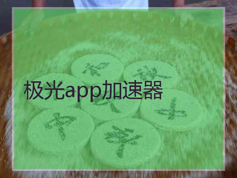 极光app加速器