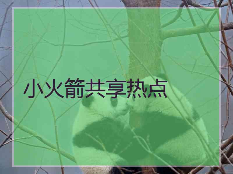 小火箭共享热点