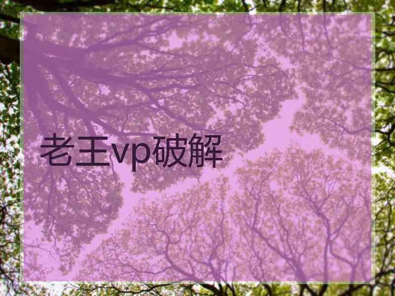 老王vp破解