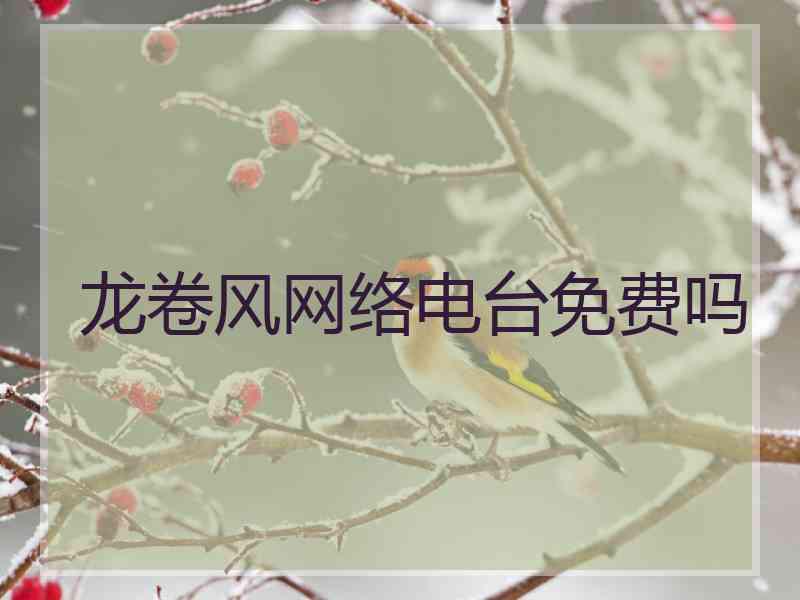 龙卷风网络电台免费吗