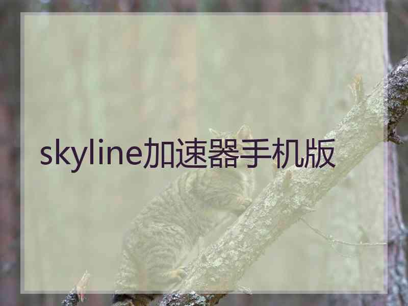 skyline加速器手机版