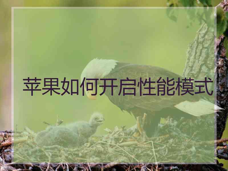 苹果如何开启性能模式