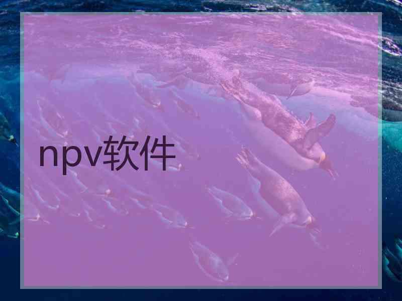 npv软件