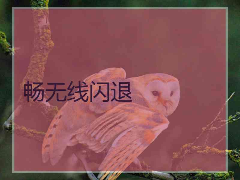 畅无线闪退