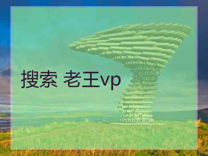 搜索 老王vp
