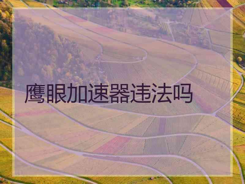 鹰眼加速器违法吗