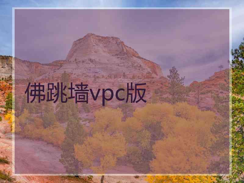 佛跳墙vpc版