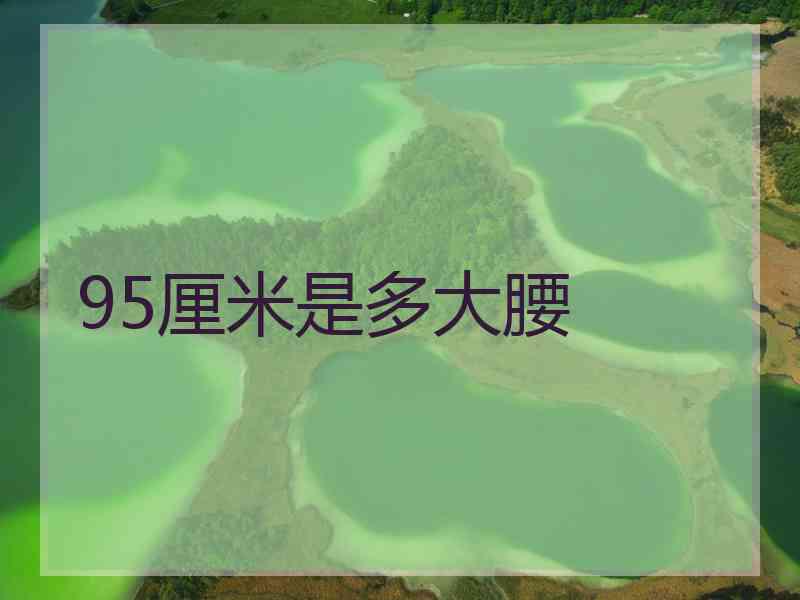 95厘米是多大腰