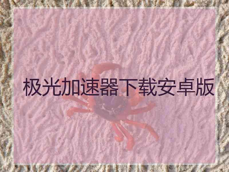 极光加速器下载安卓版