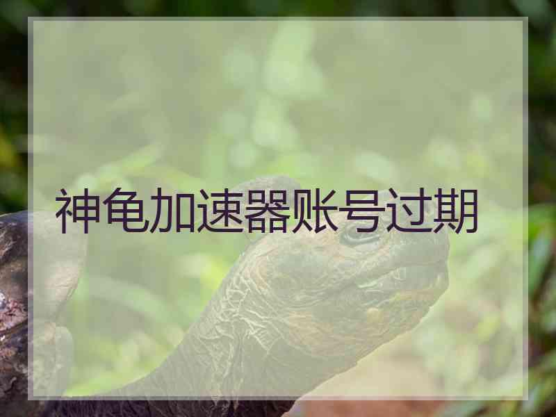 神龟加速器账号过期