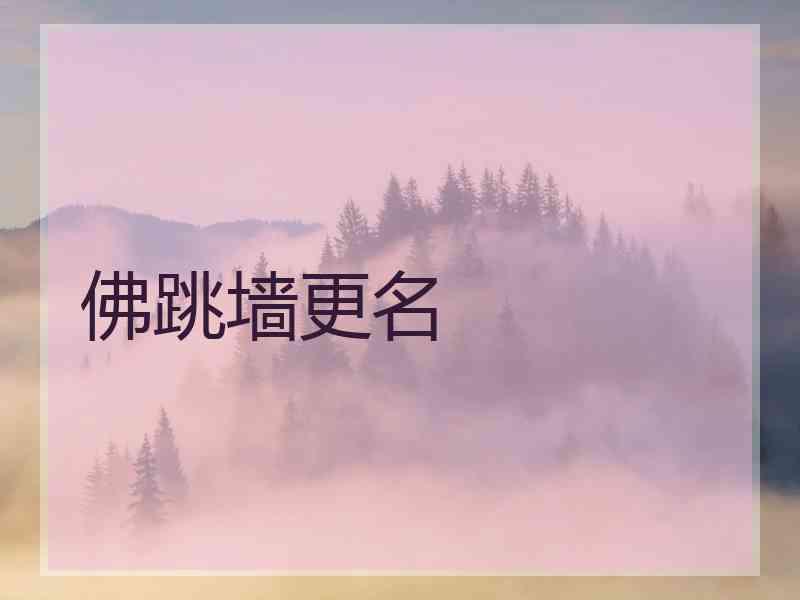 佛跳墙更名