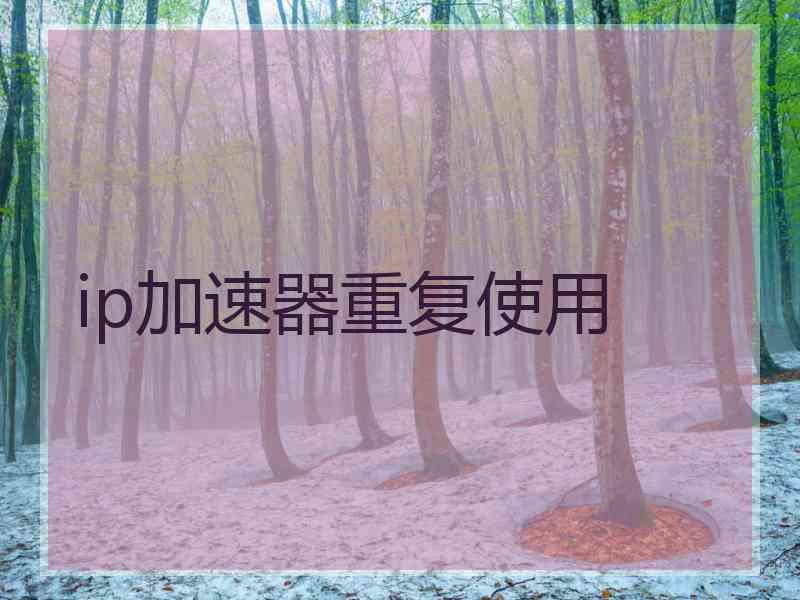 ip加速器重复使用