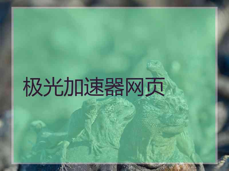 极光加速器网页