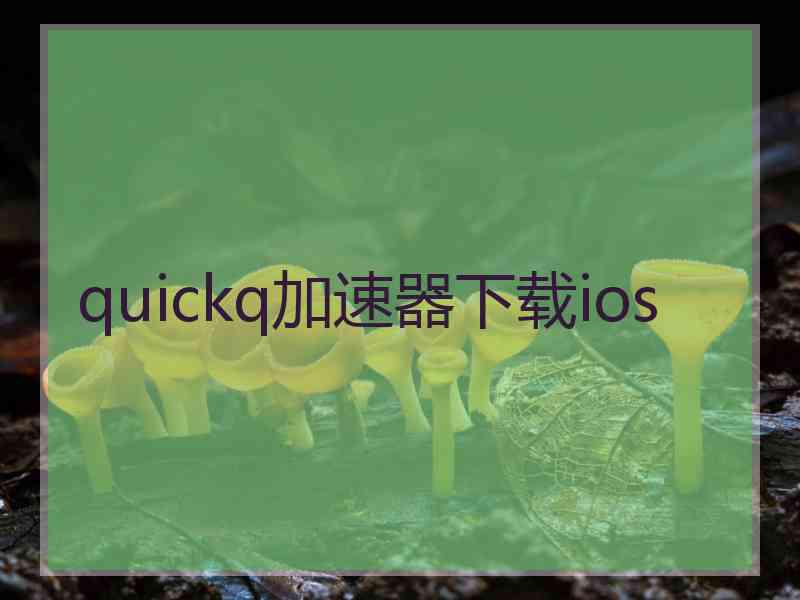 quickq加速器下载ios