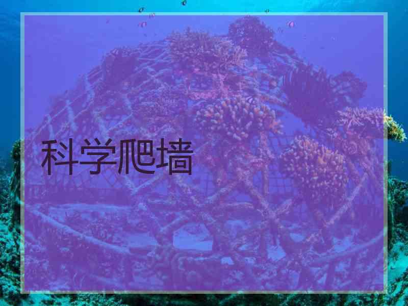 科学爬墙
