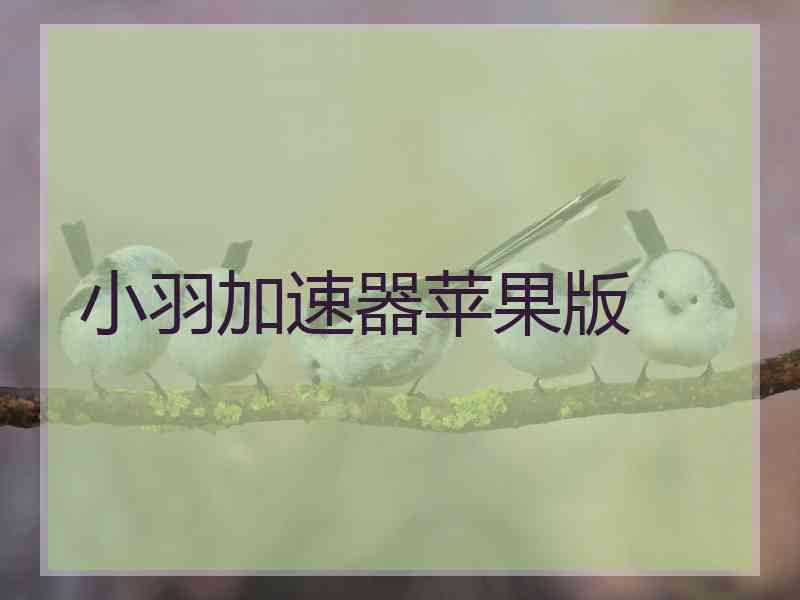 小羽加速器苹果版
