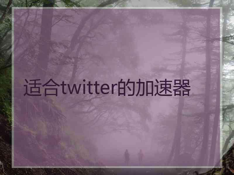 适合twitter的加速器